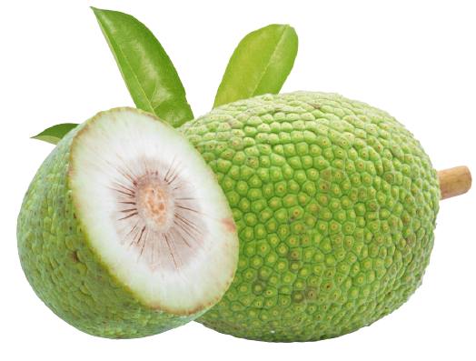 breadfruit nutrition facts calorie content storage and freshness fruit list fruits starting with b
