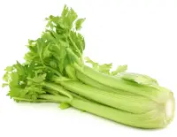 celery nutrition calorie content