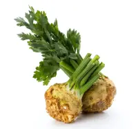 celery root celeriac nutrition calorie content