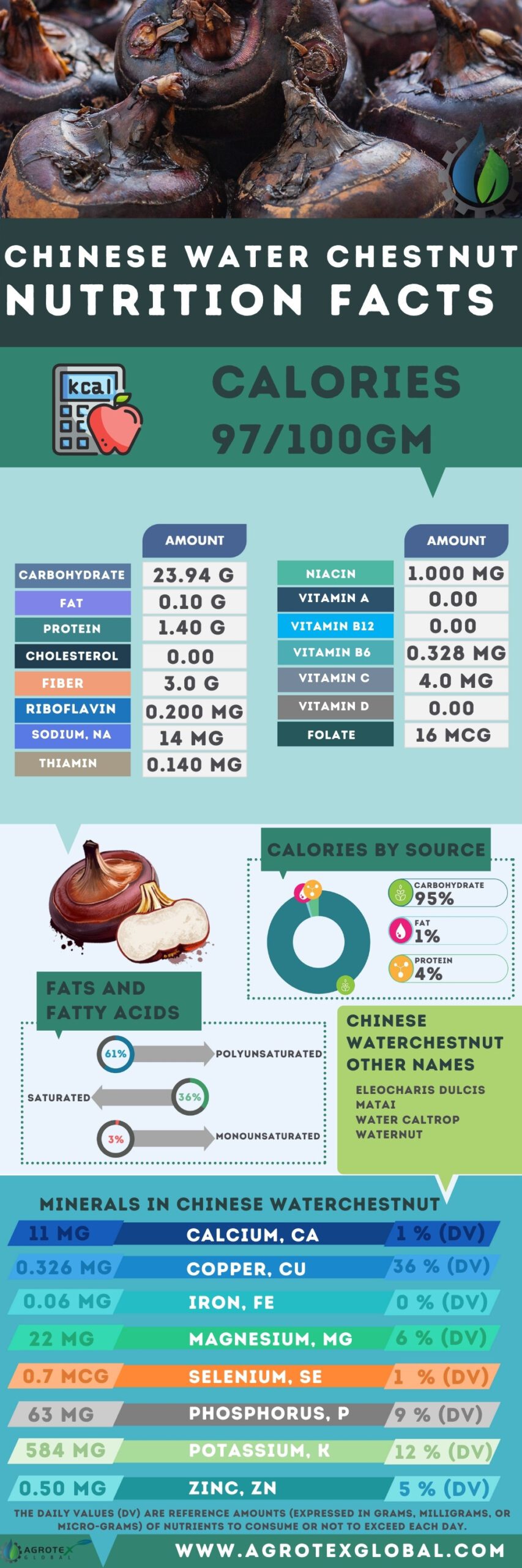 chinese-water-chestnut