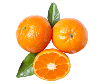 clementines nutrition facts calorie content storage and freshness fruit list fruits starting with c