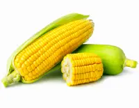 corn nutrition calorie content