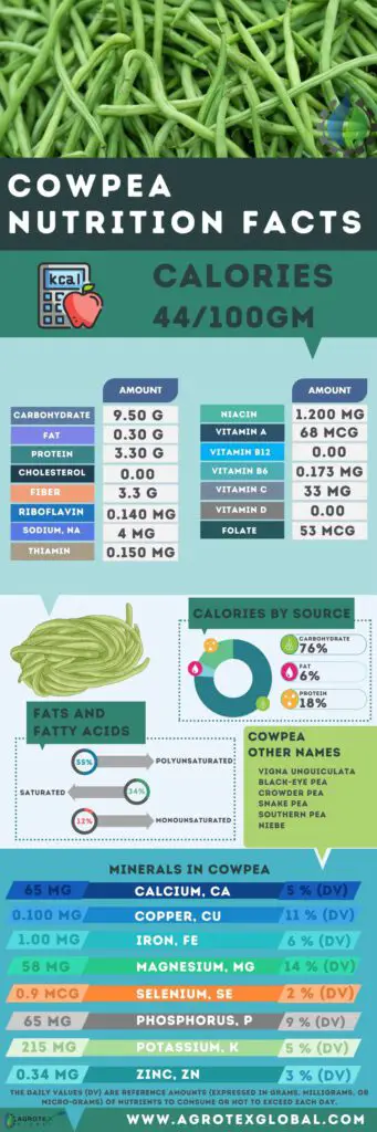 cowpea NUTRITION FACTS calorie chart infographic