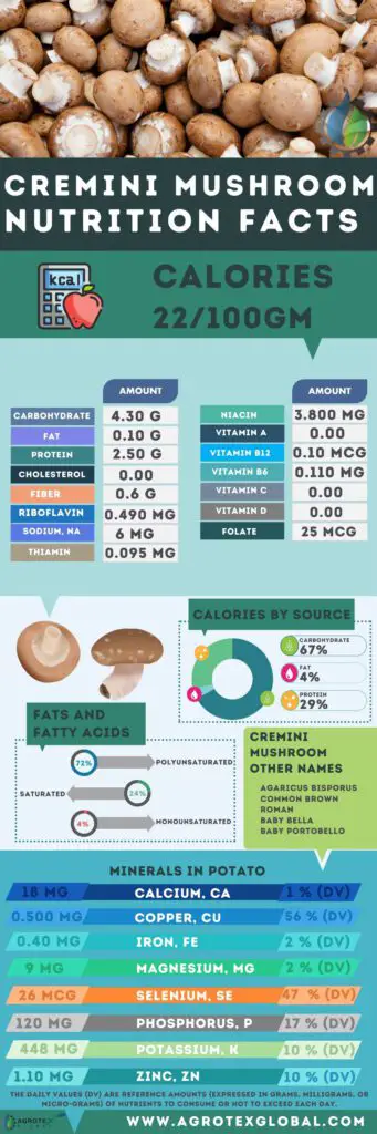 cremini Mushroom NUTRITION FACTS infographic chart