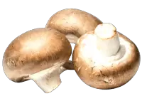 cremini mushroom nutrition calorie content