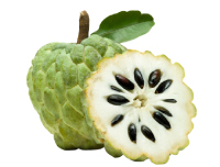 custard_apple nutrition facts calorie content storage and freshness fruit list fruits starting with c