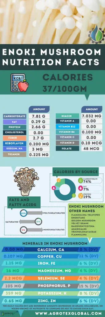 enoki mushroom NUTRITION FACTS calorie chart infographic