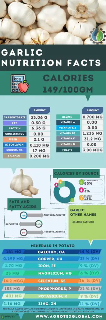 garlic NUTRITION FACTS calorie chart infographic