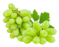 grape_isolated nutrition facts calorie content storage and freshness fruit list fruits starting with g
