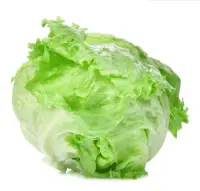 green iceberg lettuce nutrition calorie content