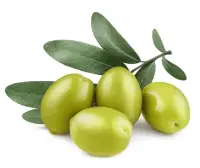 green olives nutrition calorie content