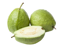 guava nutrition facts calorie content storage and freshness fruit list fruits starting with g