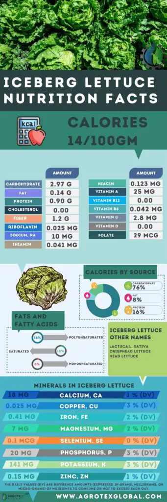iceberg Lettuce NUTRITION FACTS calorie chart infographic
