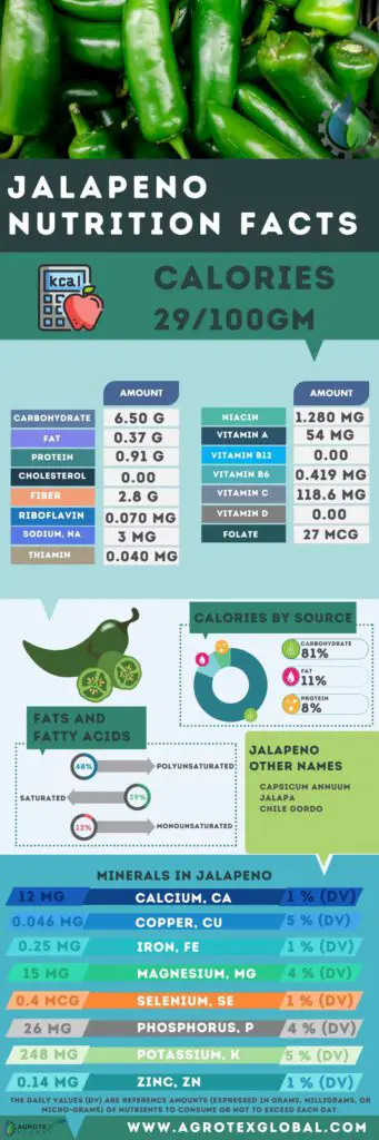 jalapeno NUTRITION FACTS calorie chart infographic