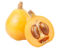loquat nutrition facts calorie content storage and freshness fruit list fruits starting with L