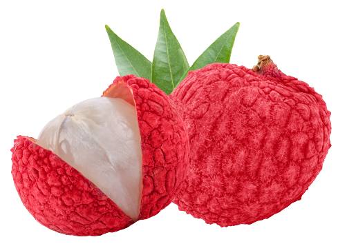lychee nutrition facts calorie content storage and freshness fruit list fruits starting with L