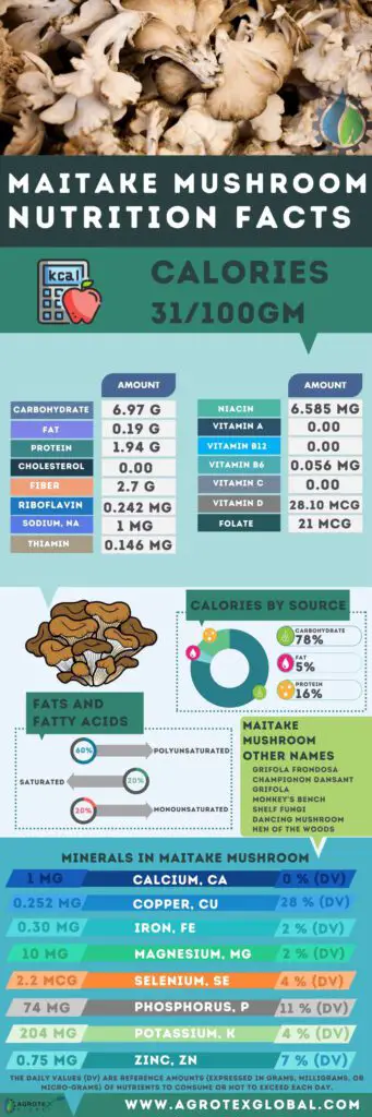 maitake mushroom NUTRITION FACTS calorie chart infographic