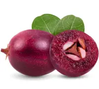 Natal plum Carissa macrocarpa nutrition calorie content