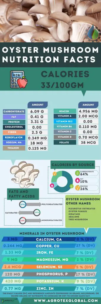 oyster mushroom NUTRITION FACTS calorie chart infographic