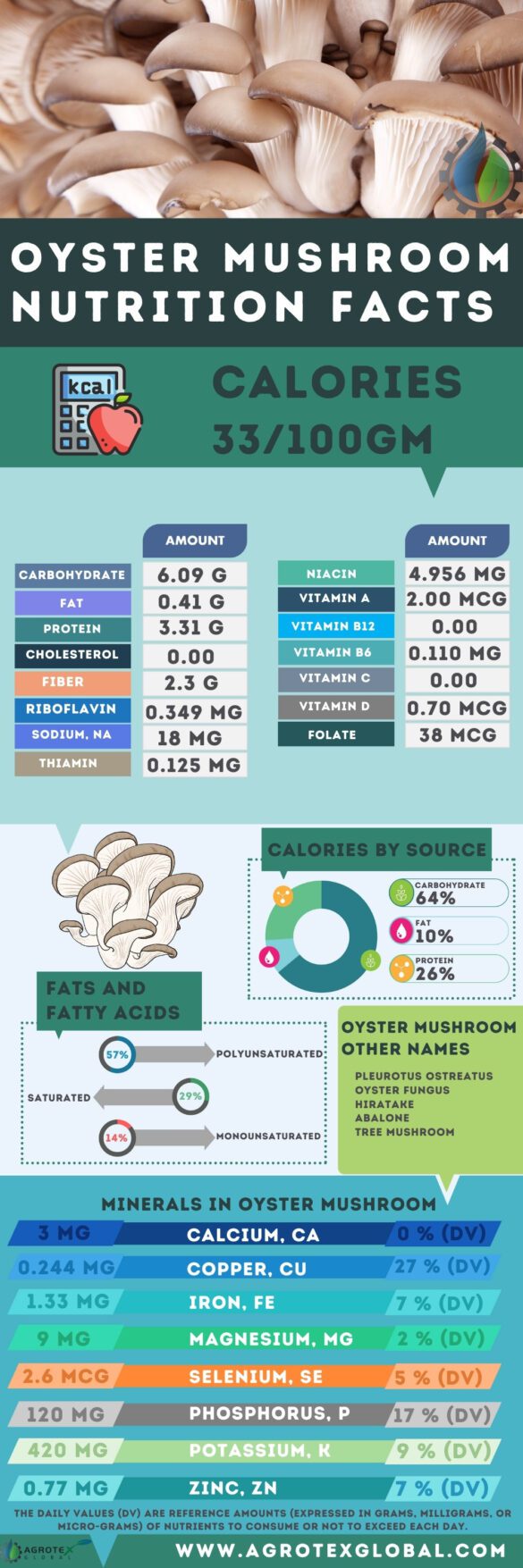 Oyster Mushroom