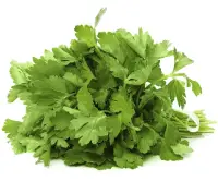 parsley nutrition calorie content