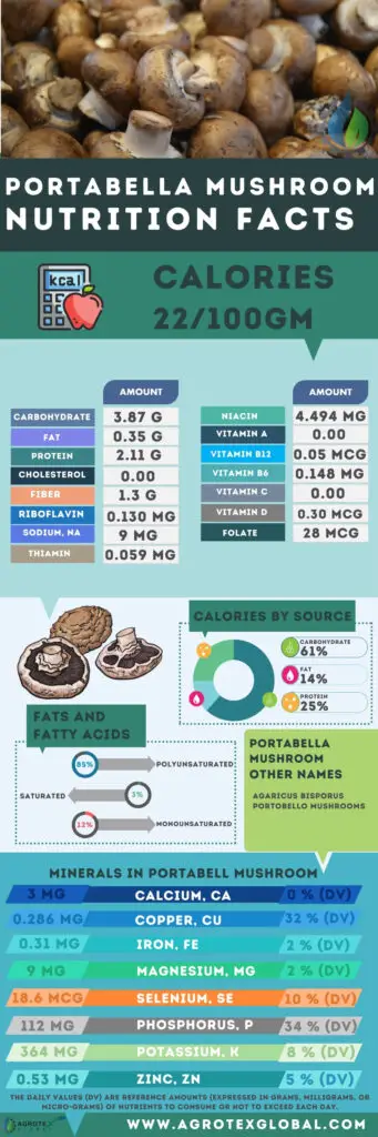 portabella mushroom NUTRITION FACTS calorie chart infographic