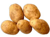 potato nutrition calorie content