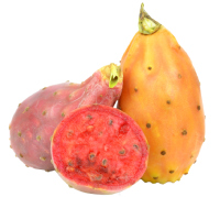 prickly_pears nutrition facts calorie content storage and freshness fruit list