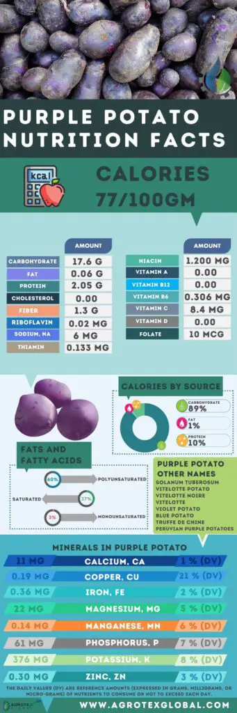 purple Potato NUTRITION FACTS calorie chart infographic