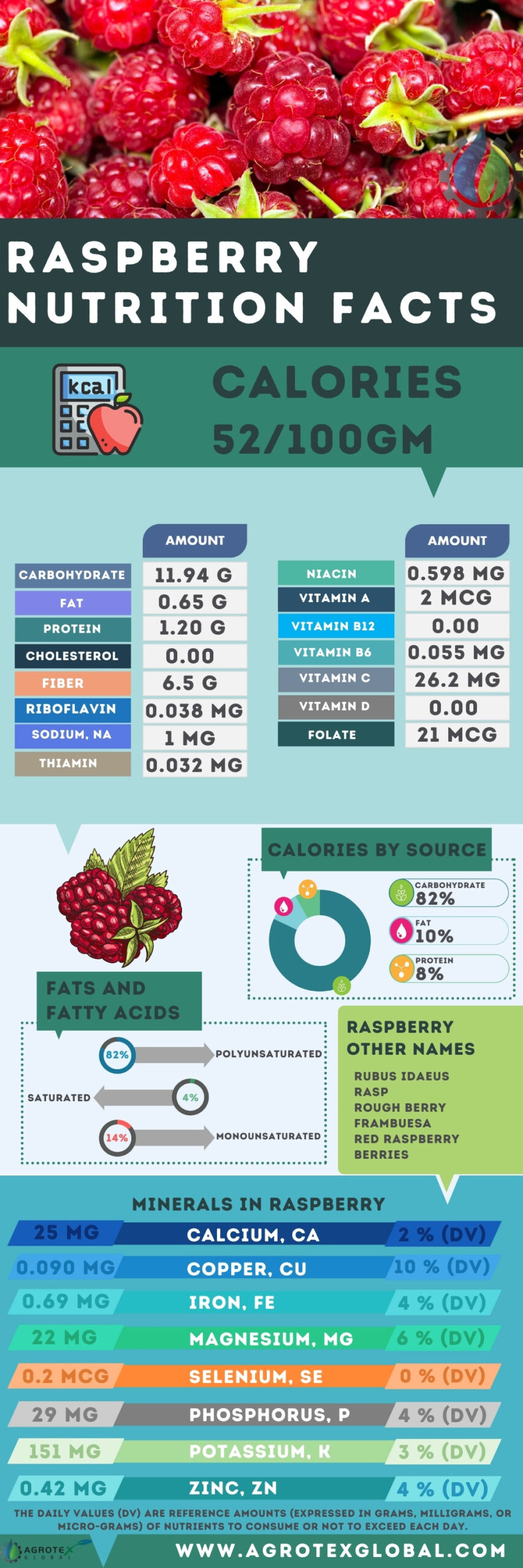 raspberry NUTRITION FACTS calorie chart infographic