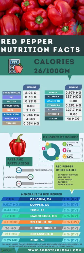 red Pepper NUTRITION FACTS calorie chart infographic