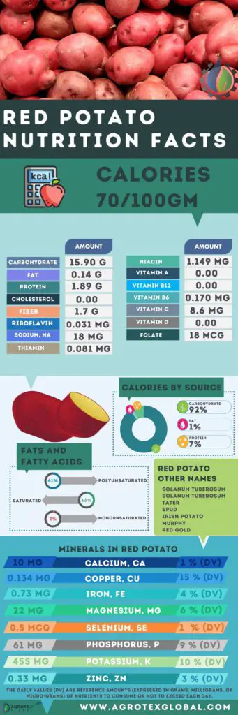 red Potato NUTRITION FACTS calorie chart infographic