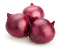red onion nutrition calorie content