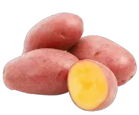red potato nutrition calorie content