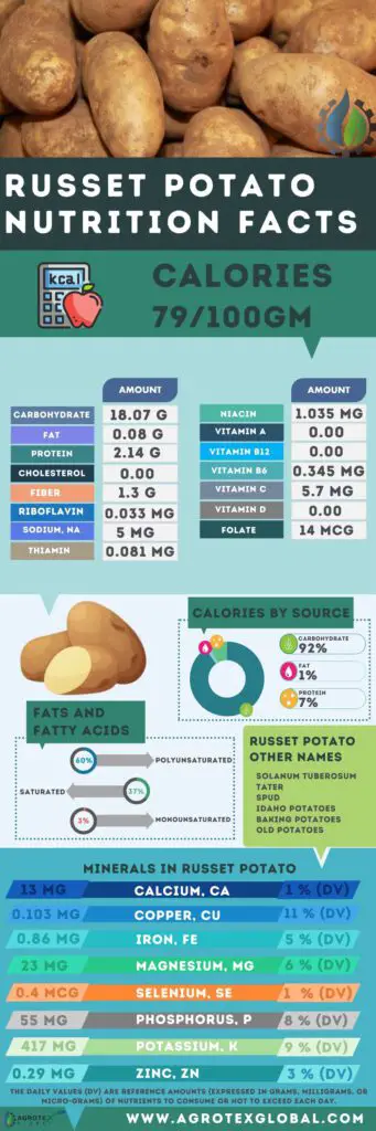 russet Potato NUTRITION FACTS calorie chart infographic