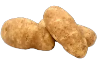 russet potato nutrition calorie content