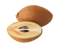 sapodilla nutrition facts calorie content storage and freshness fruit list fruits starting with S