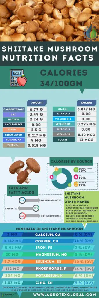 shiitake mushroom NUTRITION FACTS calorie chart infographic