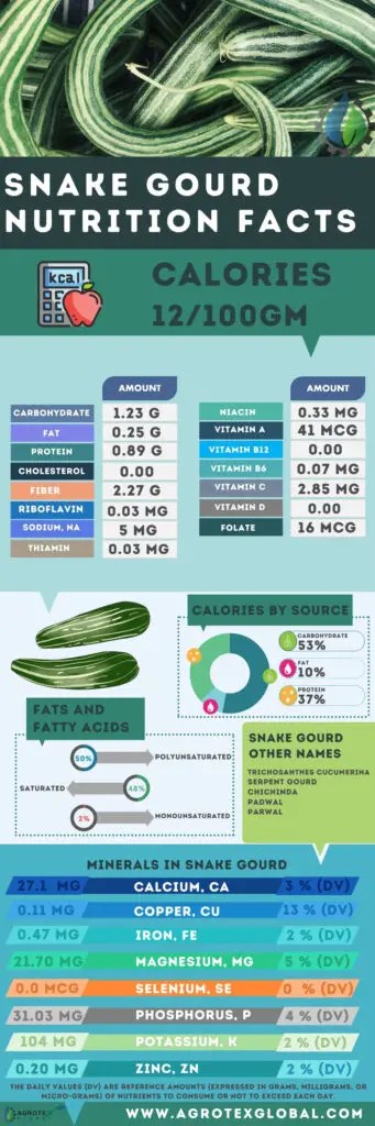 snake gourd NUTRITION FACTS calorie chart infographic