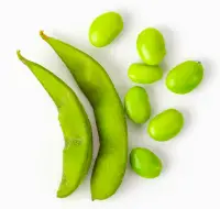 green soybean soybeans edamame nutrition calorie content