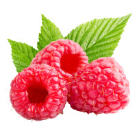 raspberry nutrition facts calorie content storage and freshness fruits list