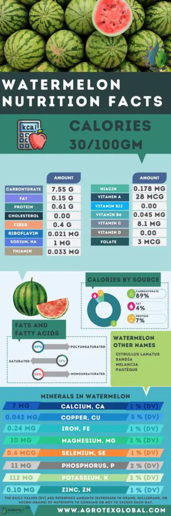 watermelon NUTRITION FACTS calorie chart infographic