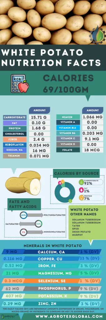 white Potato NUTRITION FACTS calorie chart infographic