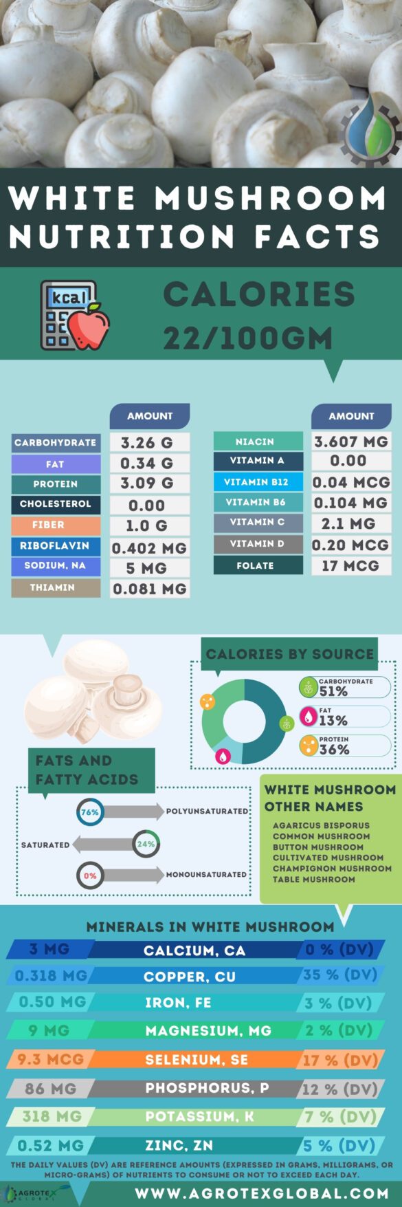 White Mushroom / Button mushroom