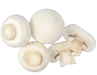 white mushrooms button mushroom nutrition calorie content