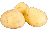 white potato nutrition calorie content