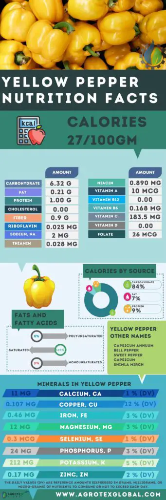 yellow Pepper NUTRITION FACTS calorie chart infographic