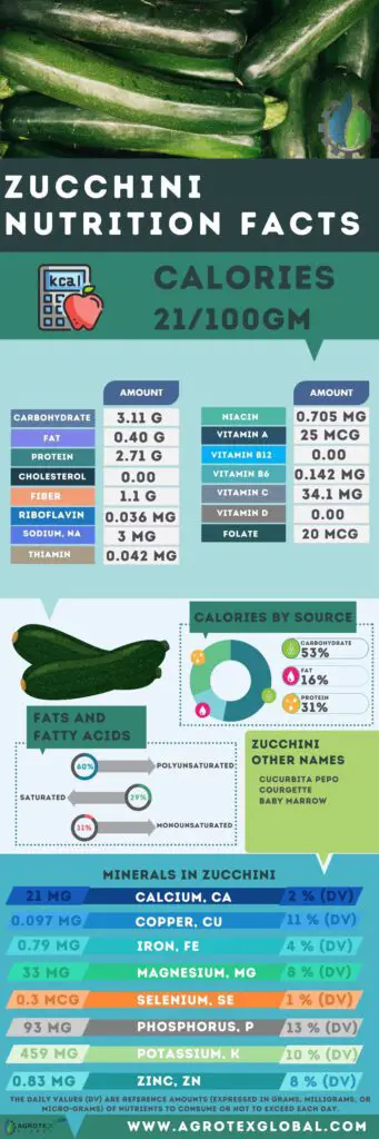 zucchini NUTRITION FACTS calorie chart infographic
