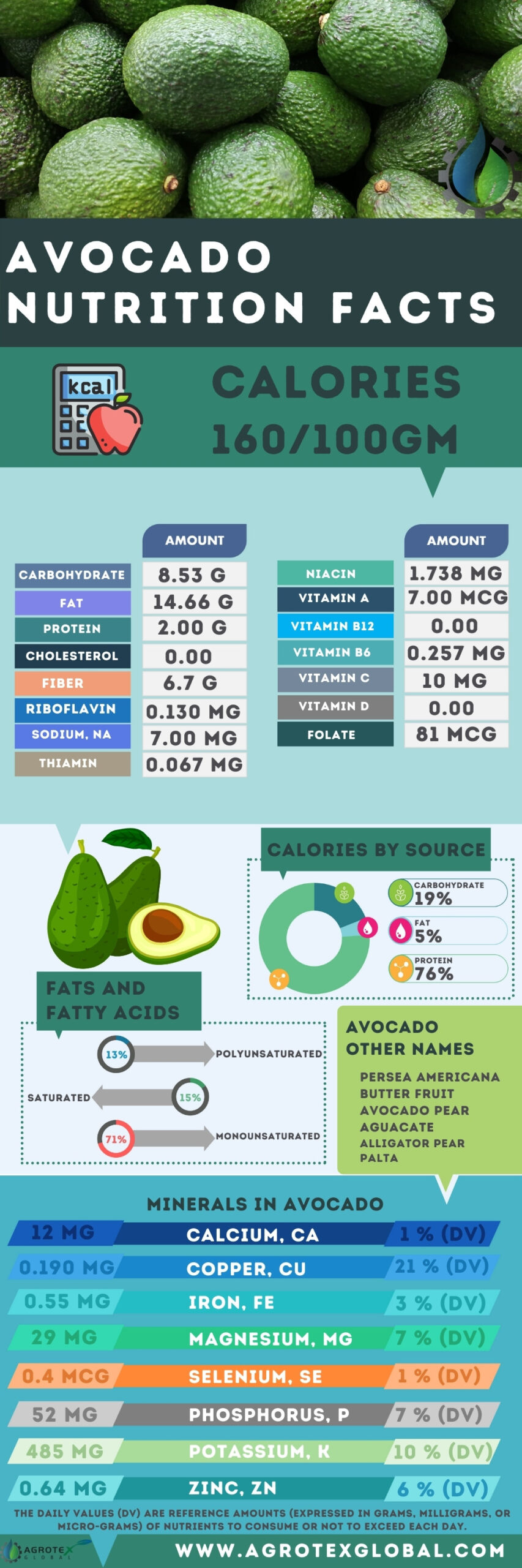Avocado nutrition facts calorie content infographic