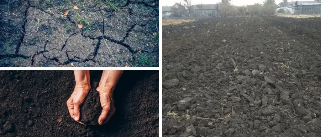 Black soils of India cracks on black soil
